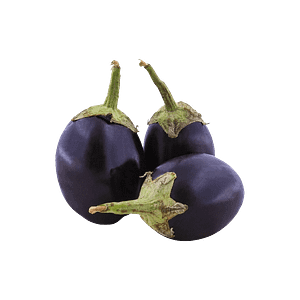 Brinjal