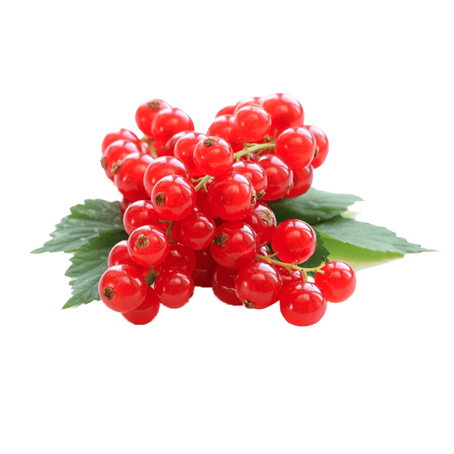 Pure Honey - Image 2